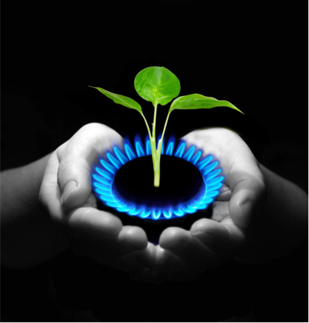 Natural Gas is Essential in the Energy Transition